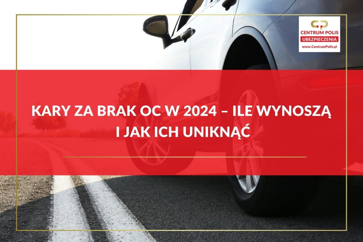 kary-za-bral-oc-w-2024-ile-wynosza-i-jak-ich-uniknac
