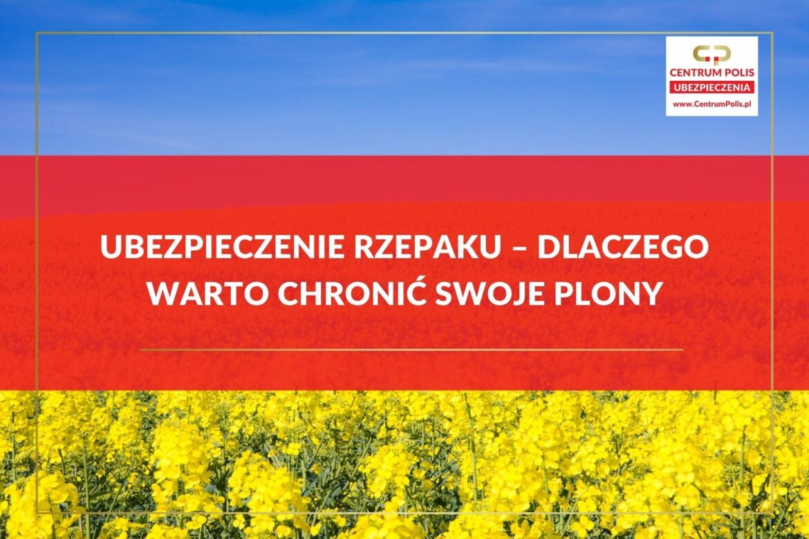 Ubezpieczenie rzepaku – dlaczego warto chronić swoje plony